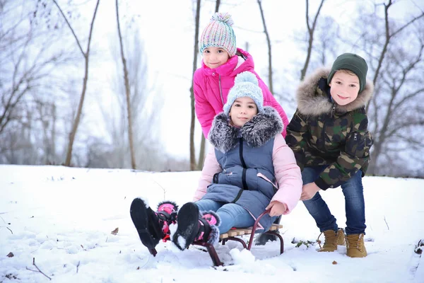 Roztomilé Děti Sáňkování Zasněženém Parku Zimní Dovolenou — Stock fotografie