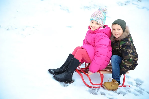 Słodkie Dzieci Zaprzęgu Snowy Park Ferie Zimowe — Zdjęcie stockowe