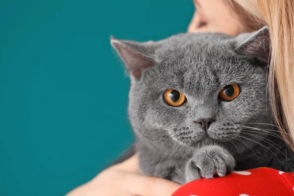Young Woman Cute Pet Cat Closeup — Stock Photo, Image
