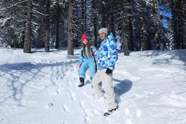 Karlı kırsal kesimde yürüme çift. Kış tatili