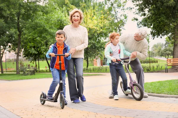 Glückliches Seniorenpaar Mit Enkeln Park — Stockfoto