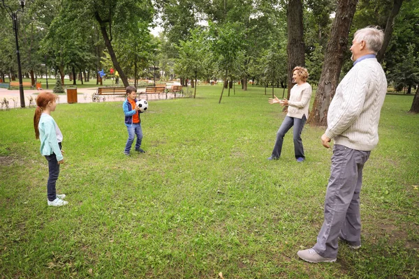 Senior Man Woman Playing Grandchildren Park — Stock Photo, Image