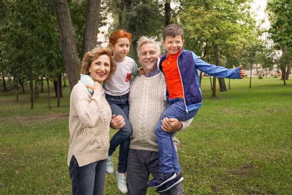 Glückliches Seniorenpaar Mit Enkelkindern Park — Stockfoto