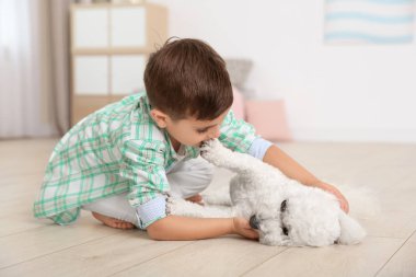 Küçük çocuk ve bichon frise köpek evde oynamak
