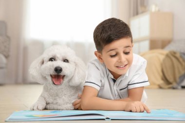 Küçük çocuk ve bichon frise köpek evde kitap okuma