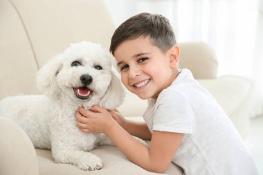 Küçük çocuk ve bichon frise köpek vasıl ev