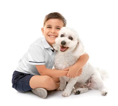 Beyaz izole küçük çocuk ve bichon frise köpek