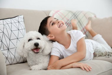 Küçük çocuk ve bichon frise köpek evde koltukta yalan