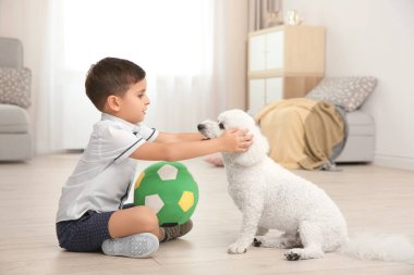 Küçük çocuk ve bichon frise köpek evde oynamak