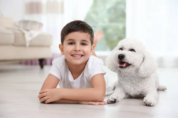 Petit Garçon Bichon Frise Chien Couché Sur Sol Maison — Photo