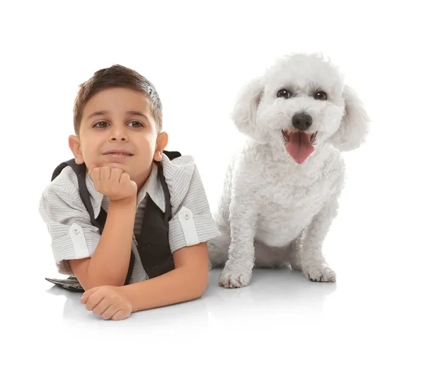 Petit Garçon Bichon Frise Chien Isolé Sur Blanc — Photo