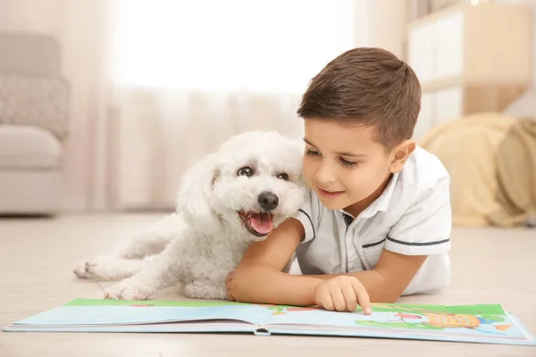 Маленький Хлопчик Бішон Фриз Собака Читає Книгу Вдома — стокове фото