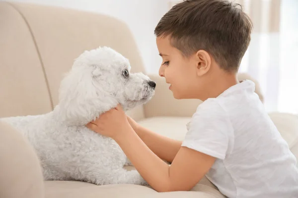 Niño Pequeño Perro Bichon Frise Casa —  Fotos de Stock