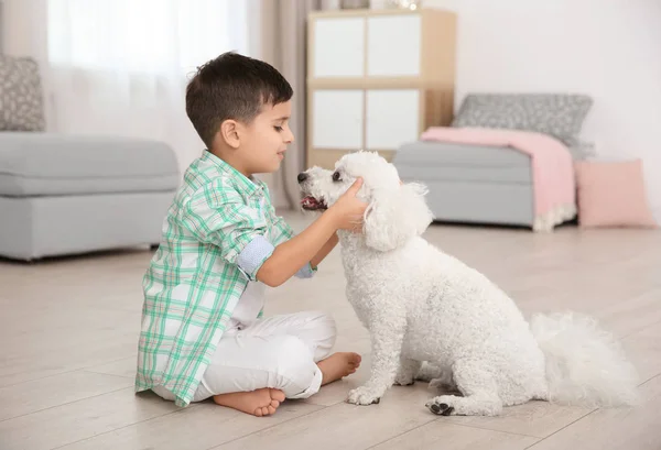 Petit Garçon Bichon Frise Chien Maison — Photo