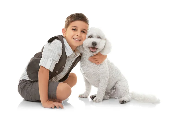 Niño Pequeño Perro Bichon Frise Aislado Blanco —  Fotos de Stock