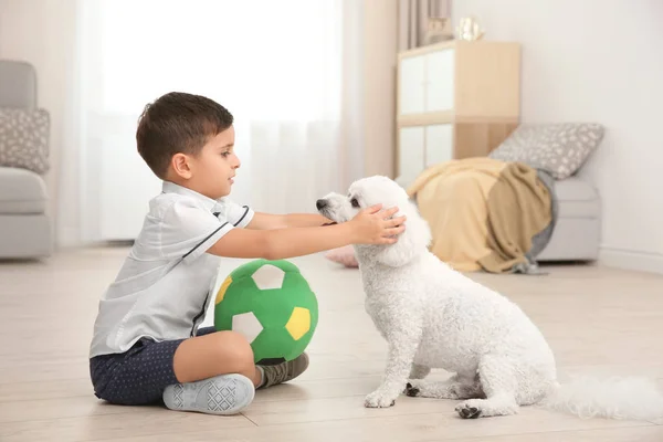 Kleiner Junge Und Bichon Frise Hund Spielen Hause — Stockfoto