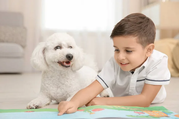 Маленький Хлопчик Бішон Фриз Собака Читає Книгу Вдома — стокове фото