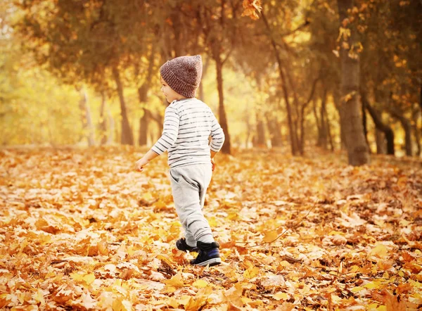 Anak Kecil Yang Lucu Taman Musim Gugur — Stok Foto