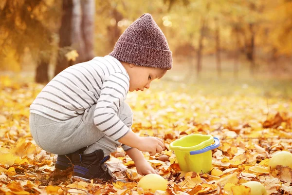 Słodkie Małe Dziecko Grając Jesienny Park — Zdjęcie stockowe