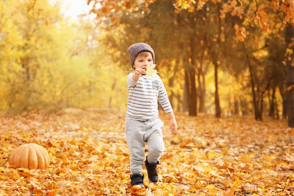 Anak Kecil Yang Lucu Taman Musim Gugur — Stok Foto