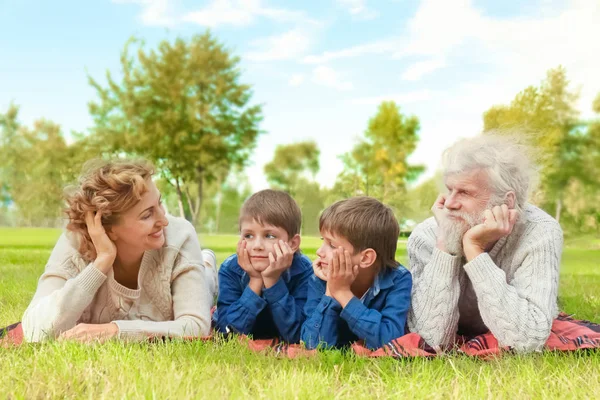Милые маленькие мальчики с бабушкой и дедушкой в парке в солнечный день — стоковое фото