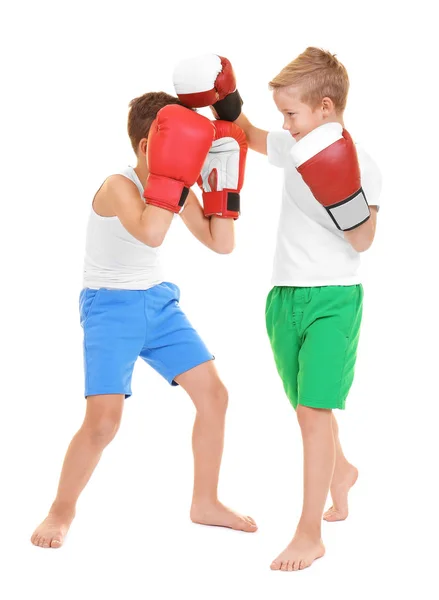 Cute Little Boys Boxing White Background — Stock Photo, Image