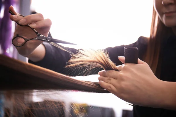 Professional Stylist Cutting Woman Hair Salon Closeup — Stock Photo, Image