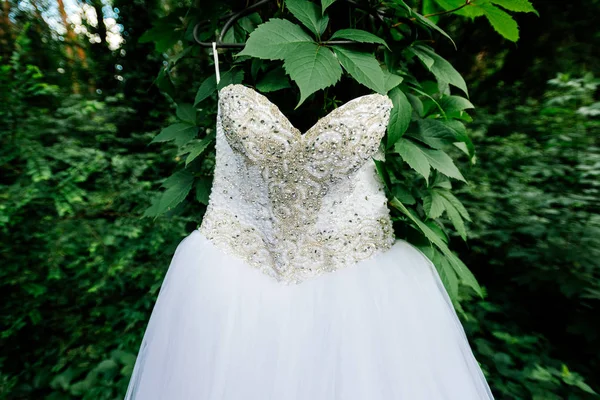 Vacker vit brudklänning som hängde på ett träd med murgröna i sunn — Stockfoto