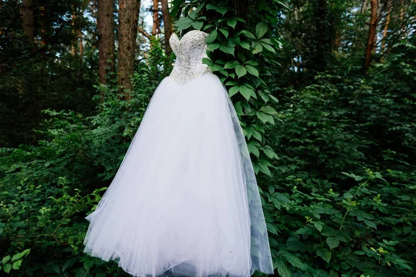 Arbre avec lierre dans la forêt avec robe de mariée blanche accrochée — Photo