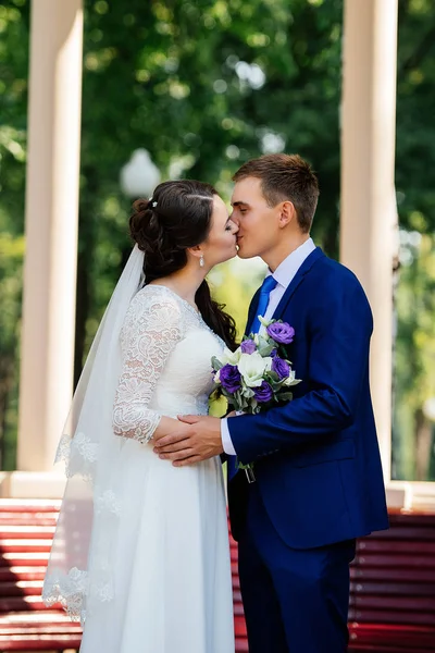 Bela Noiva Noivo Beijando Perto Banco Madeira Parque Casamento Casal — Fotografia de Stock