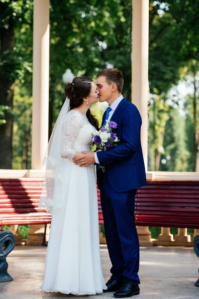 Bela Noiva Noivo Beijando Perto Banco Madeira Parque Casamento Casal — Fotografia de Stock