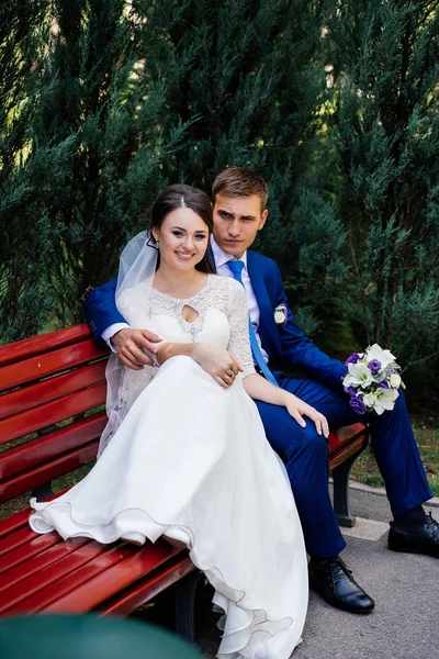 Наречений і наречений сидять на лавці — стокове фото