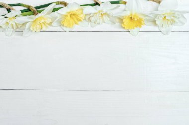 Çerçeve vazoda Beyaz ahşap Tablo kopya alanı ile parlak sarı nergis. Sarı ve beyaz nergis. Tebrik kartı. Üstten görünüm