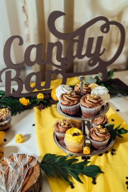 Tatil çikolata. Çikolata çikolata ve limon ile cupcakes ile güdük üzerinde krem servis