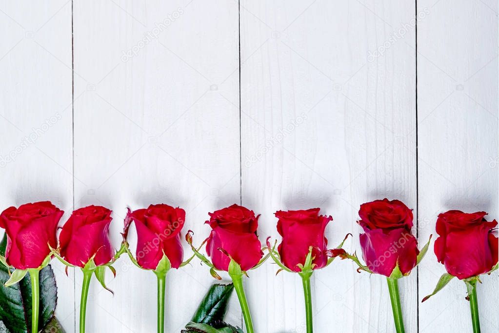 Top view of red roses border on white wooden background, copy space. Greeting card mockup for Saint Valentines Day, Womans Day (March 8), Mothers Day, flat lay. Love, wedding concept, free space 