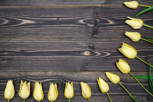 Fleurs Tulipe Jaune Bordent Sur Fond Bois Fond Printanier Avec — Photo