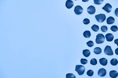 Çiçek yapraklarından yapılmış klasik mavi arkaplan, kopyalama alanı.