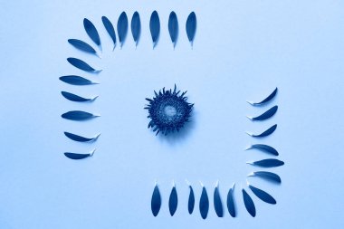 Çiçek yapraklarından yapılmış klasik mavi arkaplan, kopyalama alanı. 