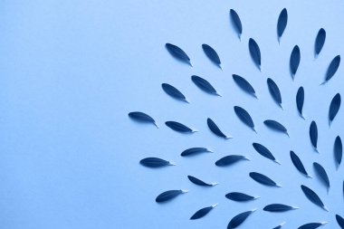 Çiçek yapraklarından yapılmış klasik mavi arkaplan, kopyalama alanı. 