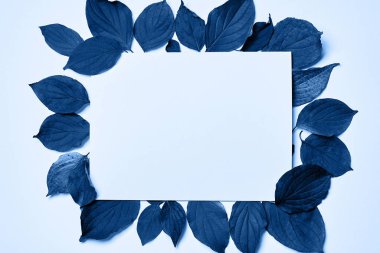 Klasik mavi arka plan. Renkli yapraklar, boşluğu kopyala. 