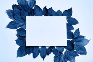 Klasik mavi arka plan. Renkli yapraklar, boşluğu kopyala. 