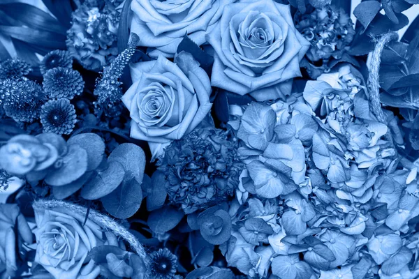 Klasické modré pozadí, kopírovací prostor. Čerstvé růžové květy, detailní záběr — Stock fotografie