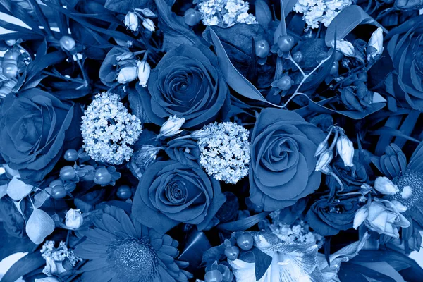 Fundo azul clássico, espaço de cópia. Flores de rosas frescas, close up — Fotografia de Stock