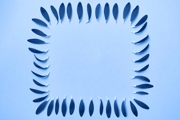 Классический синий фон из лепестков цветов, пространство для копирования . — стоковое фото