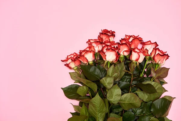 Bingkai hari perempuan fotos de stock, imágenes de Bingkai hari perempuan sin royalties - Página 5 | Depositphotos Bingkai hari perempuan fotos de stock, imágenes de Bingkai hari perempuan sin royalties - Página 5 | Depositphotos
