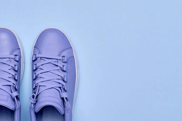 ブルーパステルの背景にスタイリッシュなバイオレット女性の靴、コピースペース — ストック写真