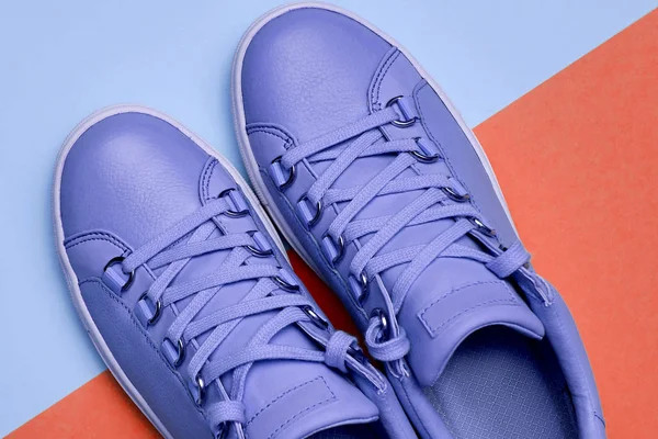 Stylish violet female shoes on blue and lush lava background — 스톡 사진