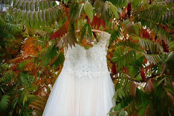 Schönes Hochzeitskleid Das Auf Einem Kleiderbügel Einem Baum Freien Hängt — Stockfoto