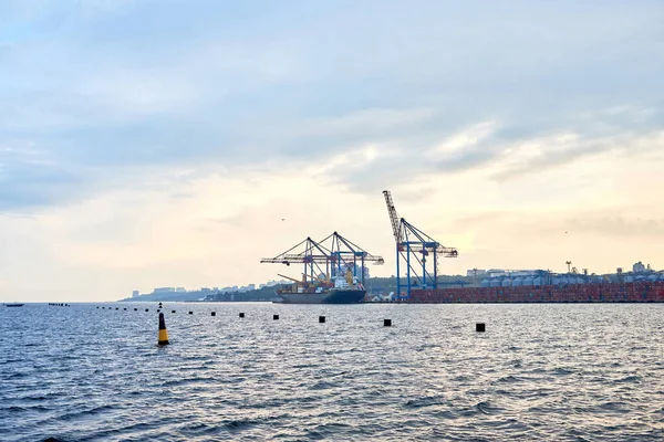 Cargo container terminal of sea freight industrial port. Lifting cargo cranes