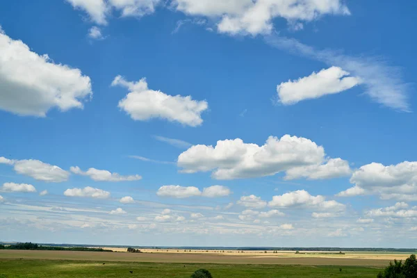 Green Field Perfect Blue Sky Clouds Copy Space Summer Background — Stock Photo, Image